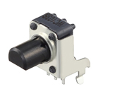 RK09K1110A2S